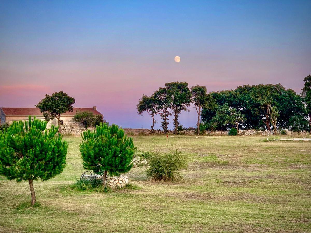 Masseria Contursi - Donna Camilla